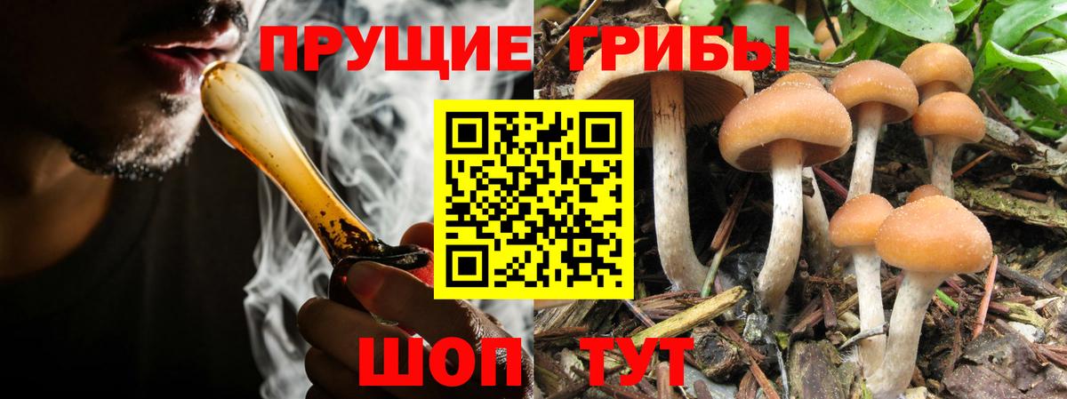 Галлюциногенные грибы мухоморы  Вход с VPN  как найти закладки  Кимовск 