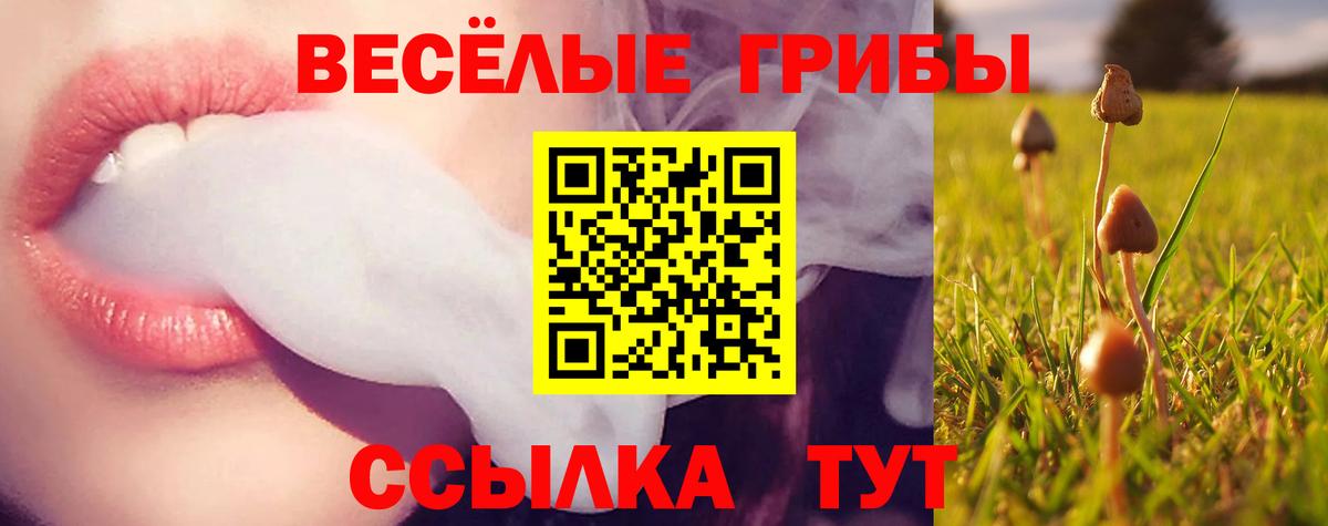 Галлюциногенные грибы GOLDEN TEACHER Кимовск